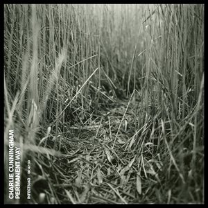 欧美丰满美女肏屄吃乳
