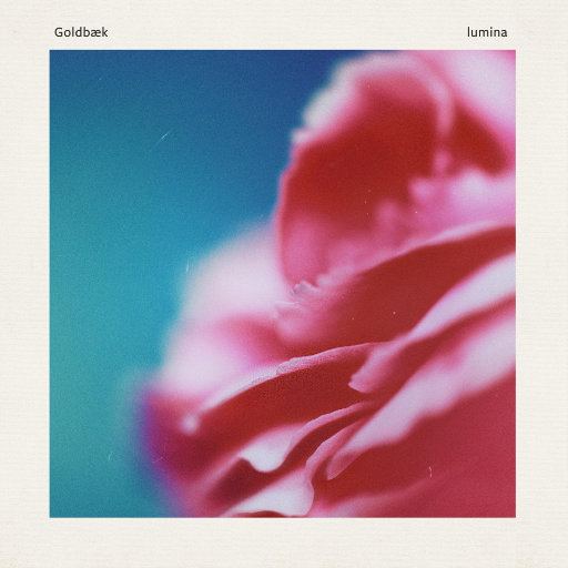 欧美丰满美女肏屄吃乳
